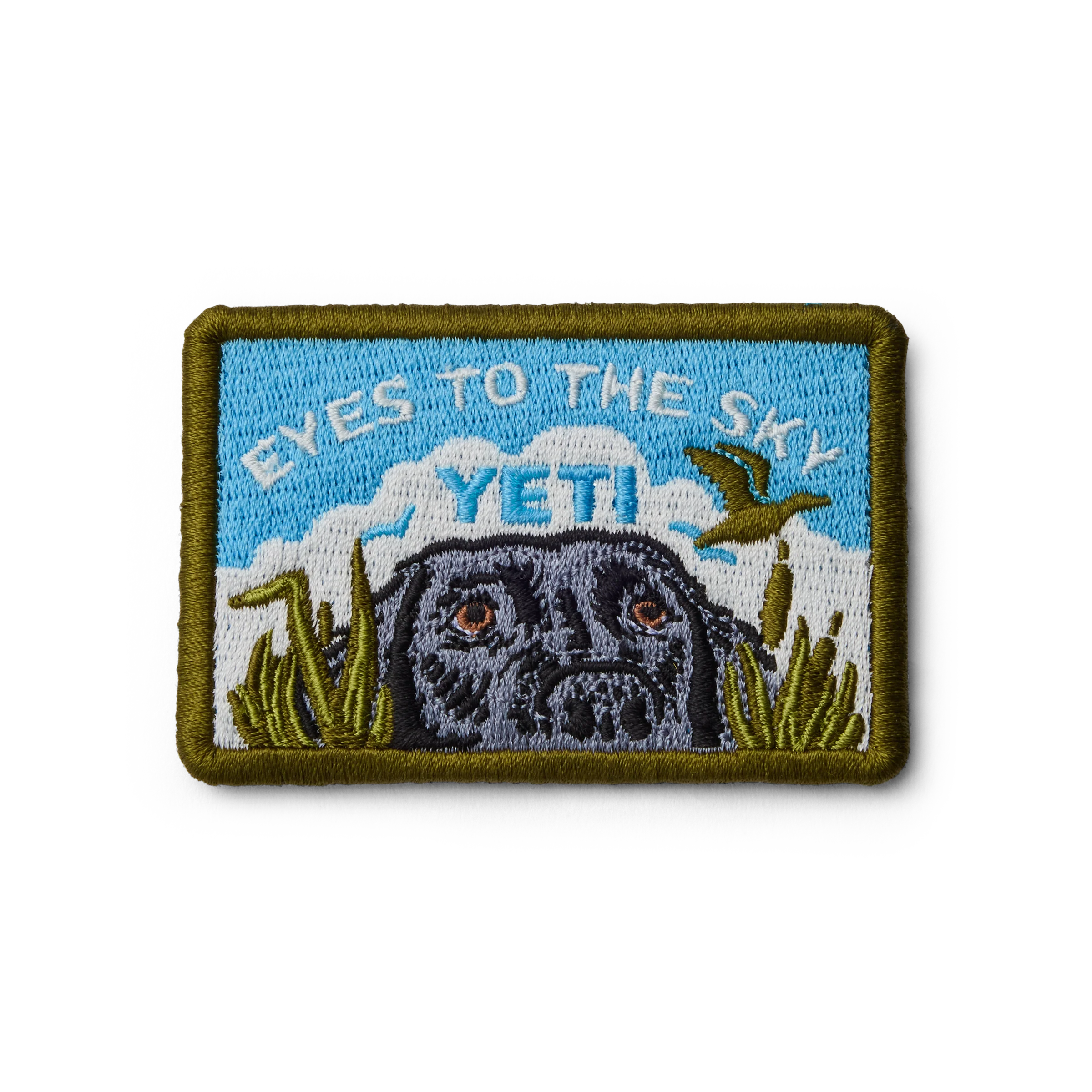 Eyes to the Sky Patch